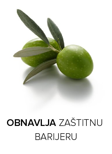 maslina